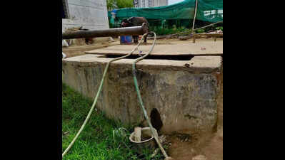 Illegal nurseries straining water resource, residents write to Noida