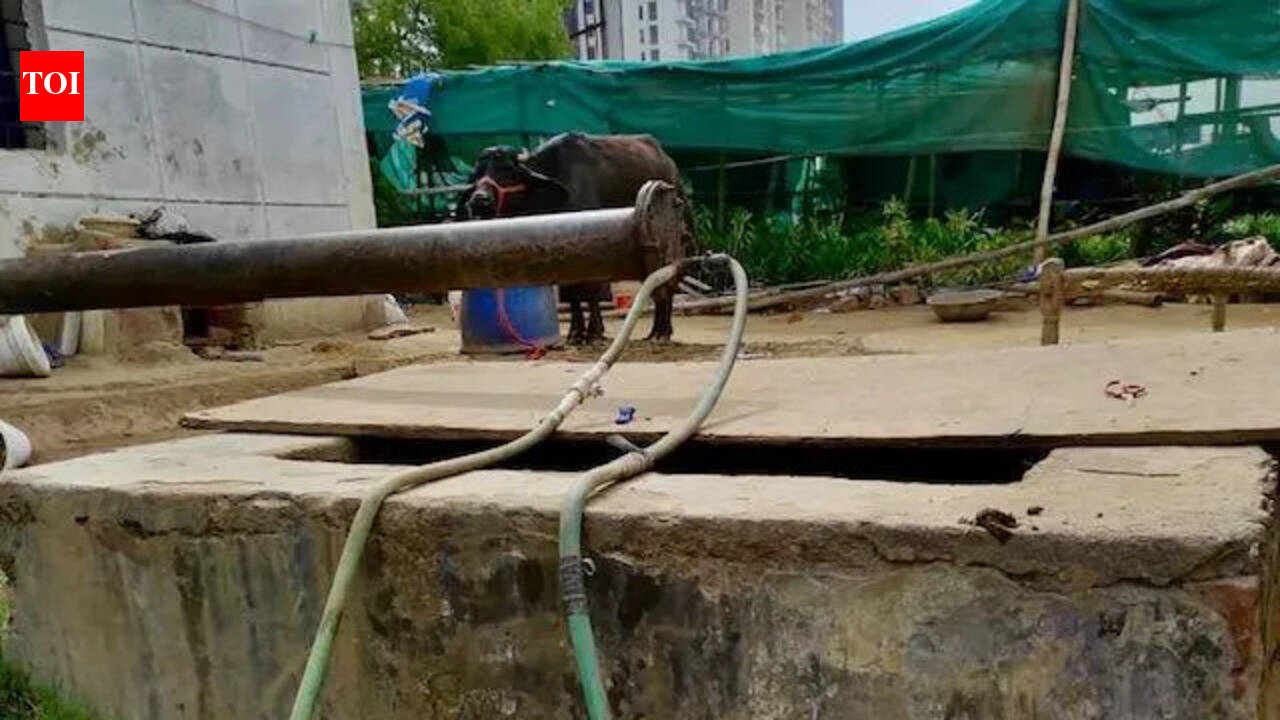 Illegal nurseries straining water resource, residents write to Noida