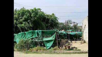 Illegal nurseries straining water resource, residents write to Noida