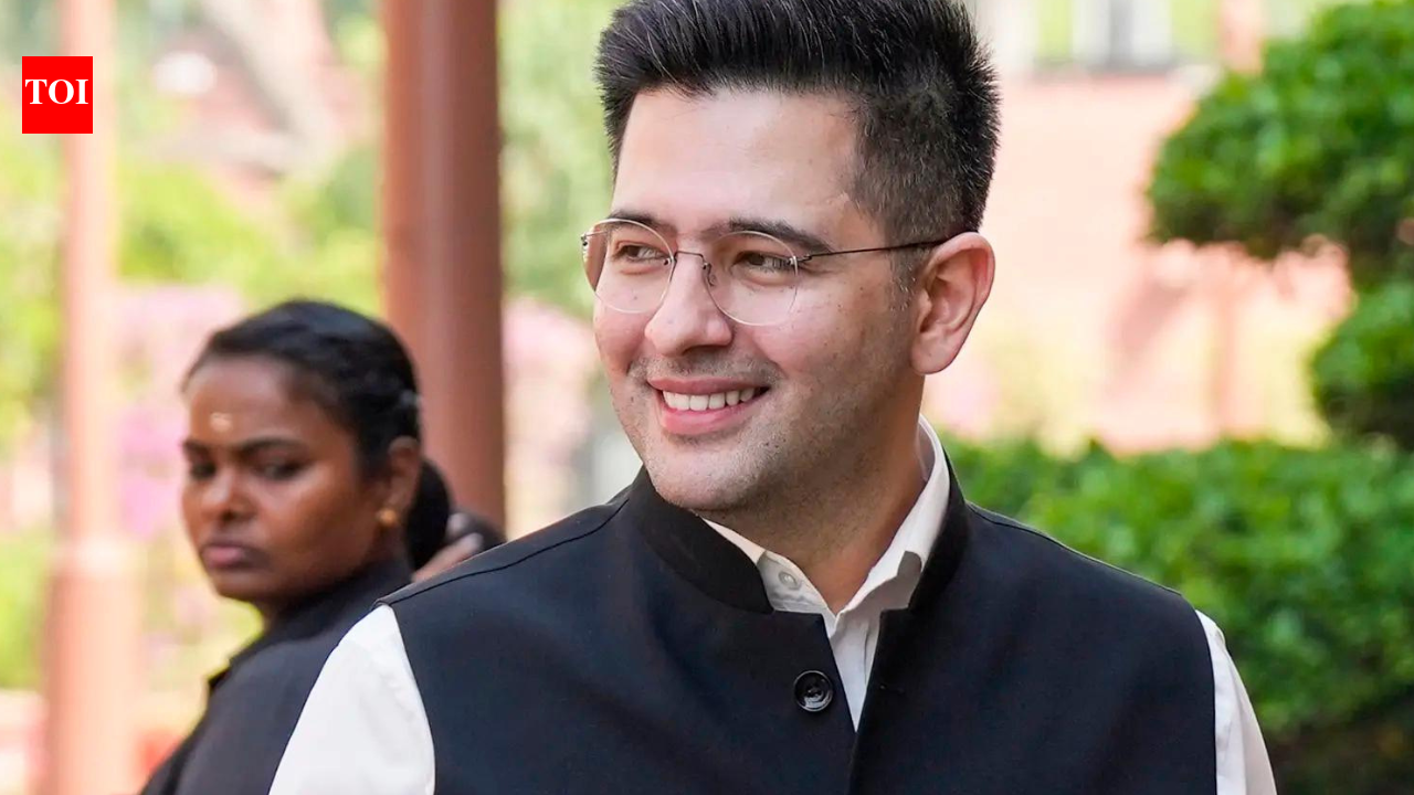 Punjab ‘my soul’, says Chadha in response to AAP Punjab unit charges