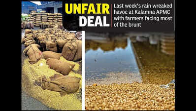 Unseasonal rain exposes one-sided APMC norm leaving farmers vulnerable
