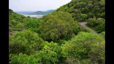 Forest dept to plant tamarind, kaitha saplings to promote public health