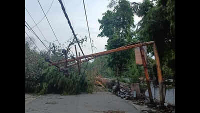 Heavy rain, hailstorm disrupt life, damage crops in Kanpur