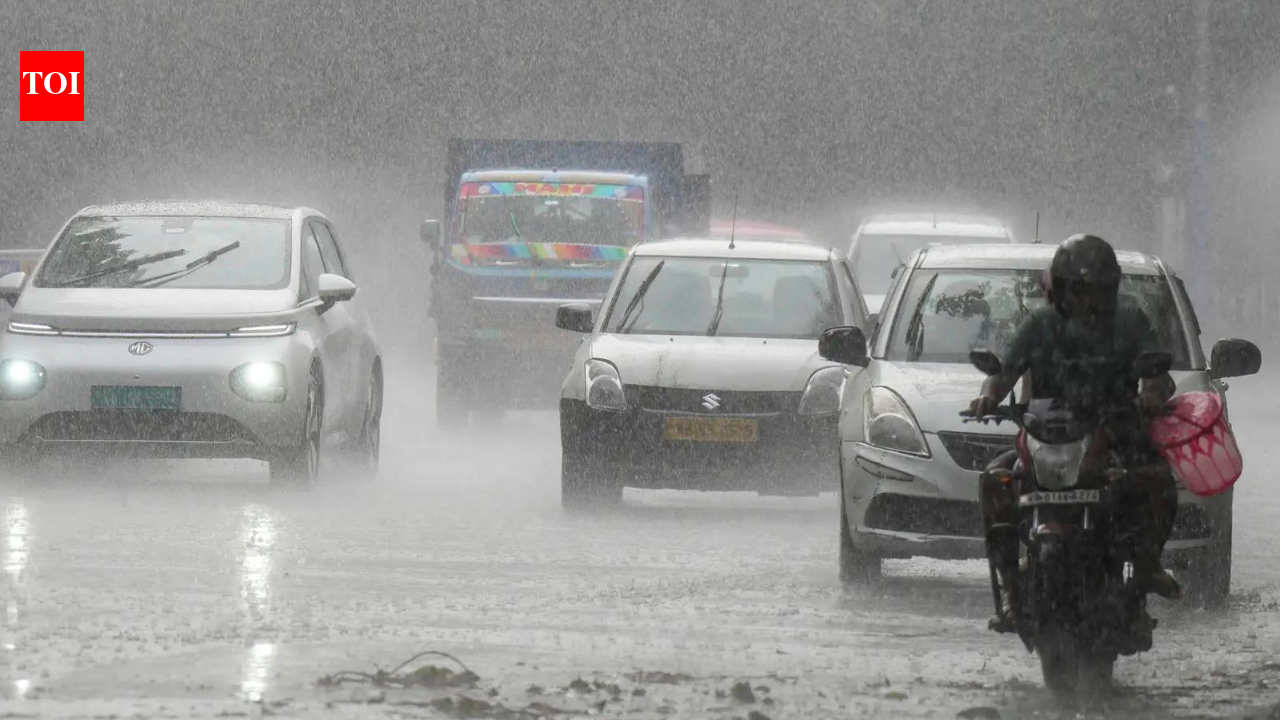 IMD predicts cooler temps in north-west India, rain likely