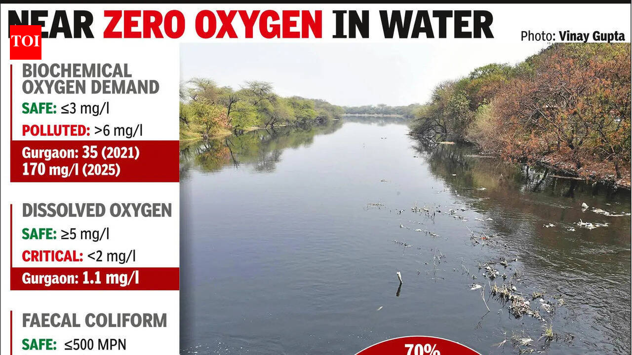 City accounts for 70% of Yamuna pollution load in Hry, shows data