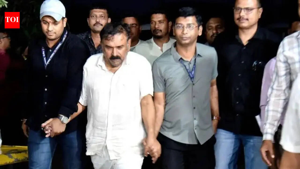 The Times of India - Politics - News Image