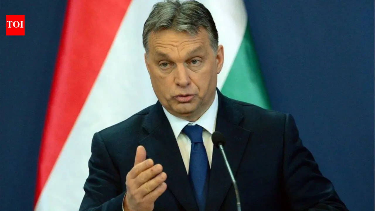 Hungarians' growing anger at living in EU's 'most corrupt state'