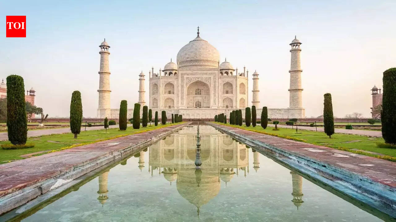 UP eases tree-felling rules in Taj zone; simpler approval process beyond 5km radius