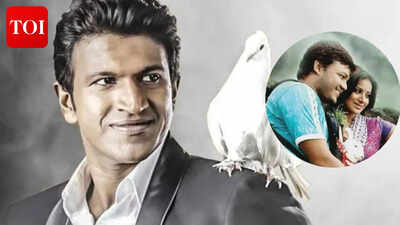 'Raajakumara' to 'Mungaru Male': Kannada family dramas that won hearts