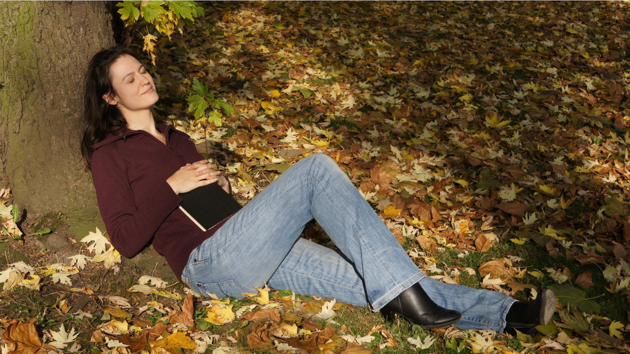 Is It Safe To Sleep Under A Tree At Night? Here’s The Truth