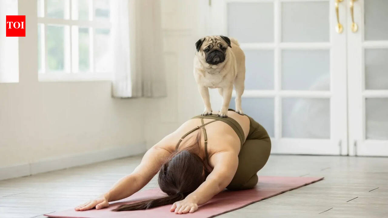 What is puppy yoga and how does it help? Benefits, mental health impact, and what to expect in a session