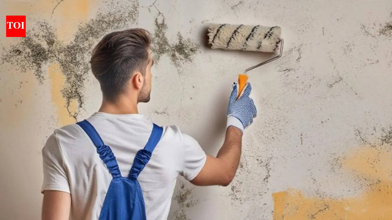 Surprising danger of painting over mould: Wellness experts reveal 'invisible' health hazard