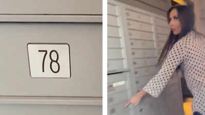 7 H-1B workers inside a mailbox: US reporter claims ‘fraud’ involving software engineers in Texas