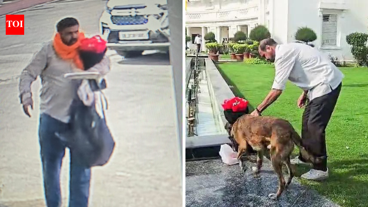 Delhi Assembly security scare: Suspect caught on cam, arrested; car seized