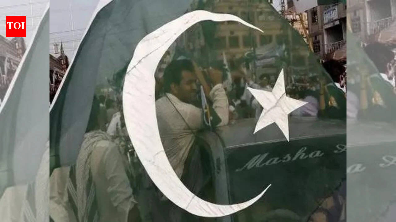 Pak lines up $4.8bn in external repayments by June, including $3.5bn owed to UAE: Report