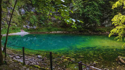 5 shortest rivers in the world and where are they located