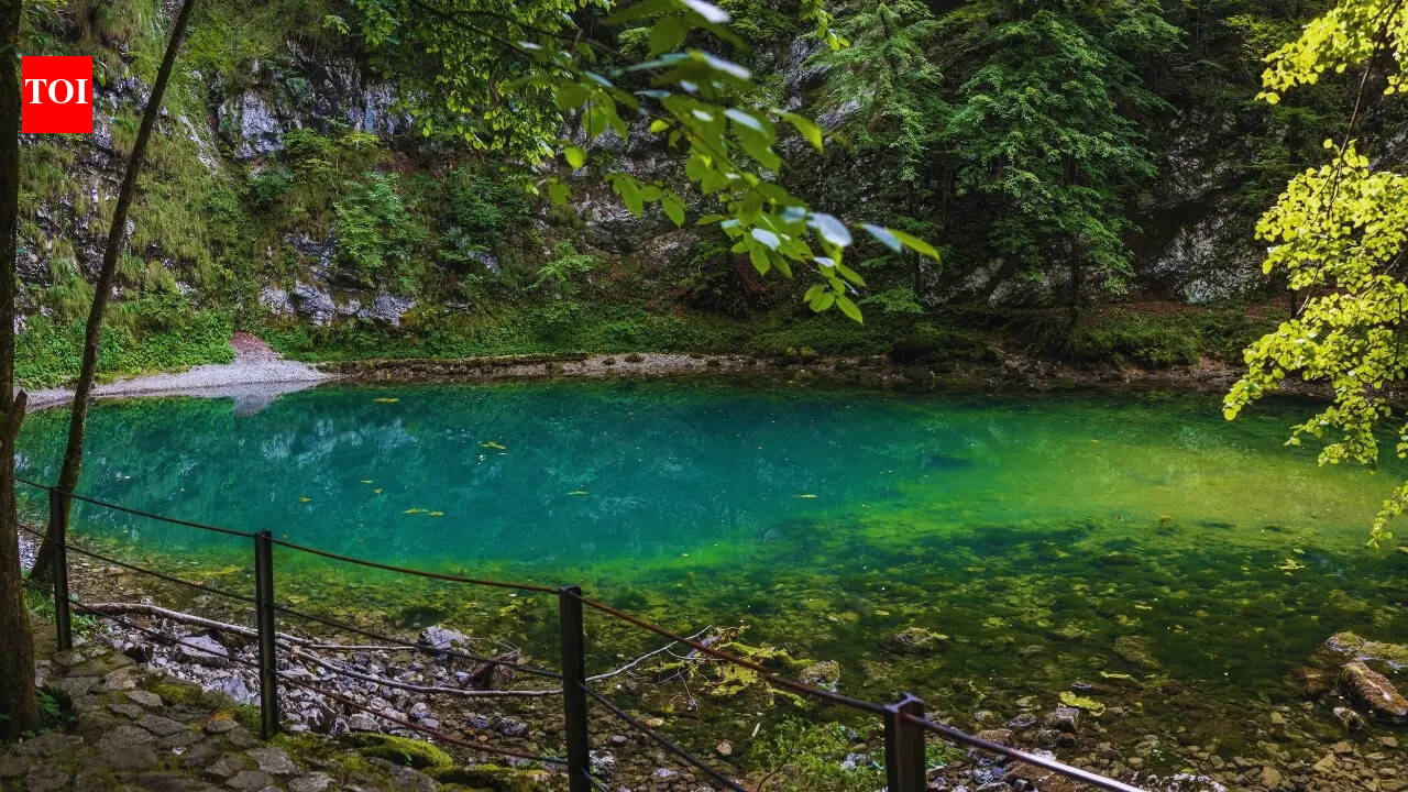 5 shortest rivers in the world and where are they located