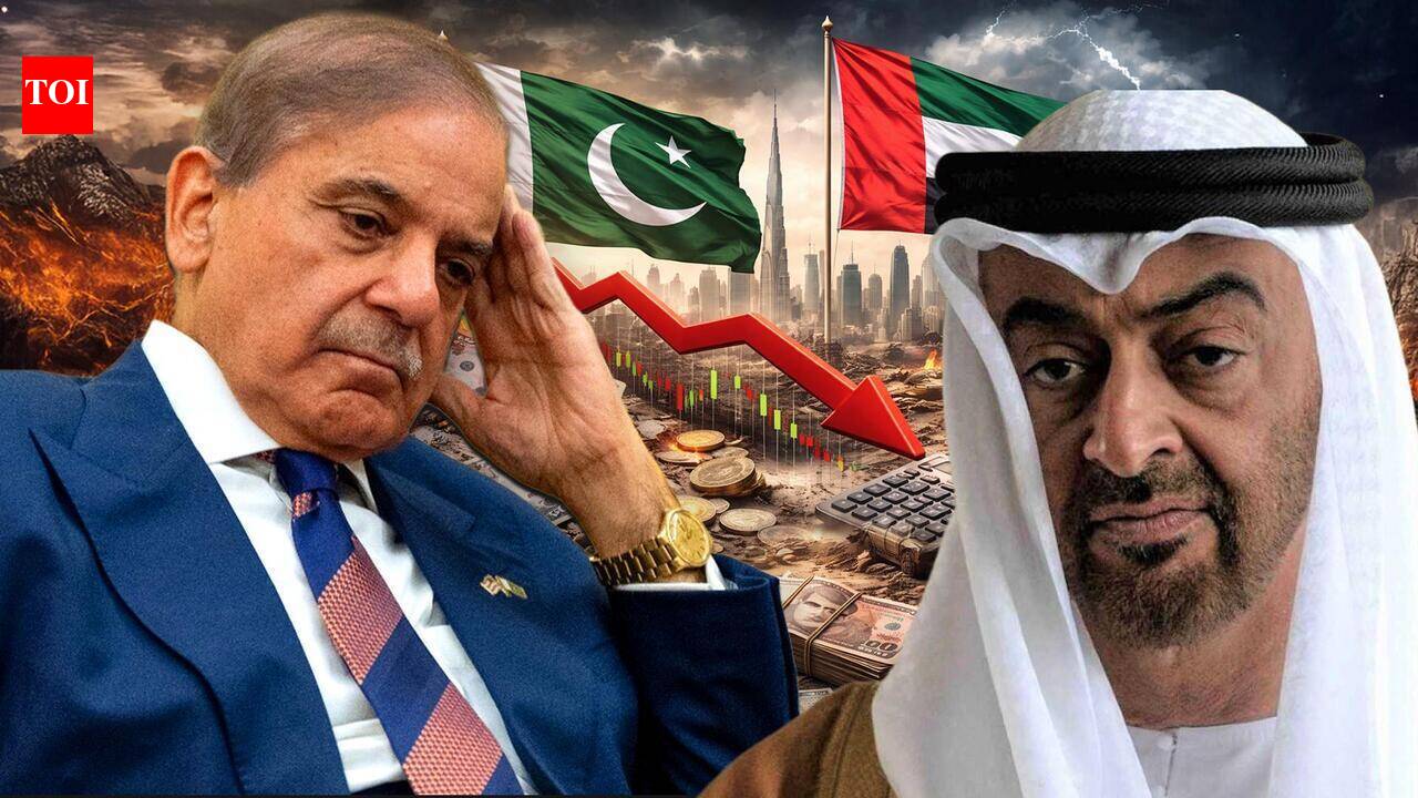 Pakistan To Repay $4.8 Billion In External Debt By June, Including $3.5 Billion To UAE: Report