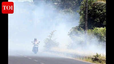 State receives 709 calls of dry grass blazes in first three months this year