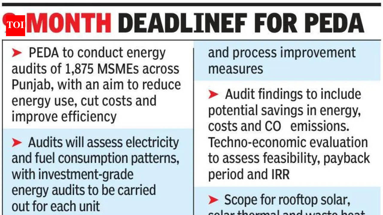 Energy audits: Punjab to help 1,875 MSMEs cut costs, power