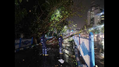 Twin squalls batter city, disrupt flights, uproot trees; more in store