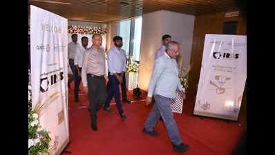 Rough diamond worth $100mn to be showcased in Surat