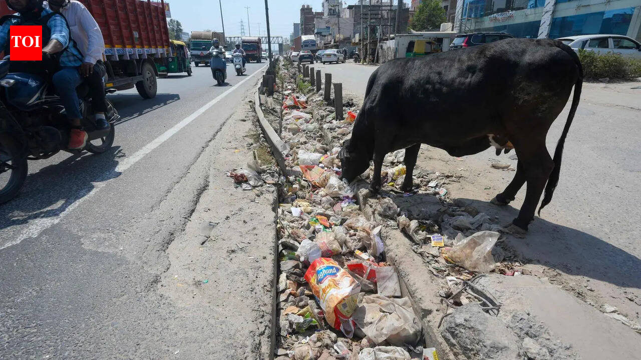 Monsoon 2 months away, 350km of stormwater drains in Gurgaon still not cleared