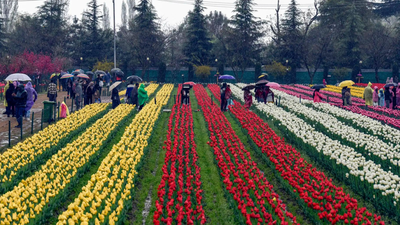 Wards to flowers: Tulip Garden trip for young cancer fighters