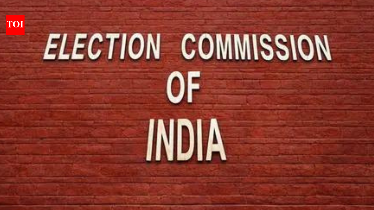 EC seeks report on BJP pick's 'love jihad' remark