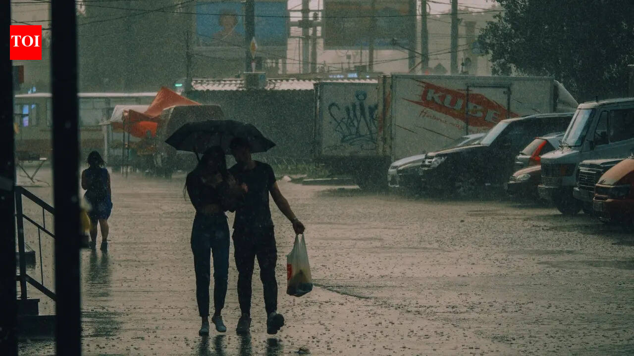 IMD predicts hail, thunderstorms and strong winds for these Indian states; what travellers need to know