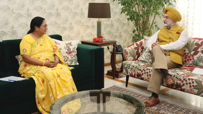 LG, CM review summer, monsoon preparedness; focus on LPG supply, PNG expansion