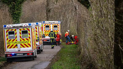 3 killed as high winds topple a tree on an Easter egg hunt in Germany
