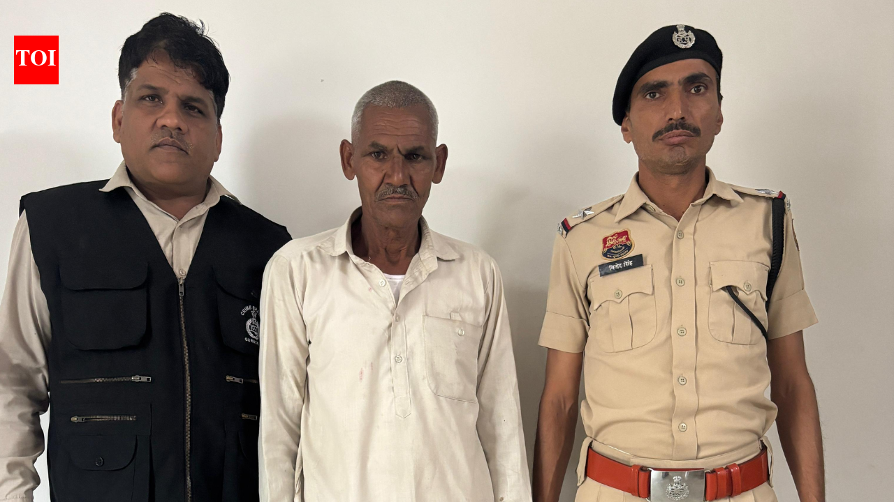 Haryana farmhouse owner hacked to death over old grudge; caretaker held