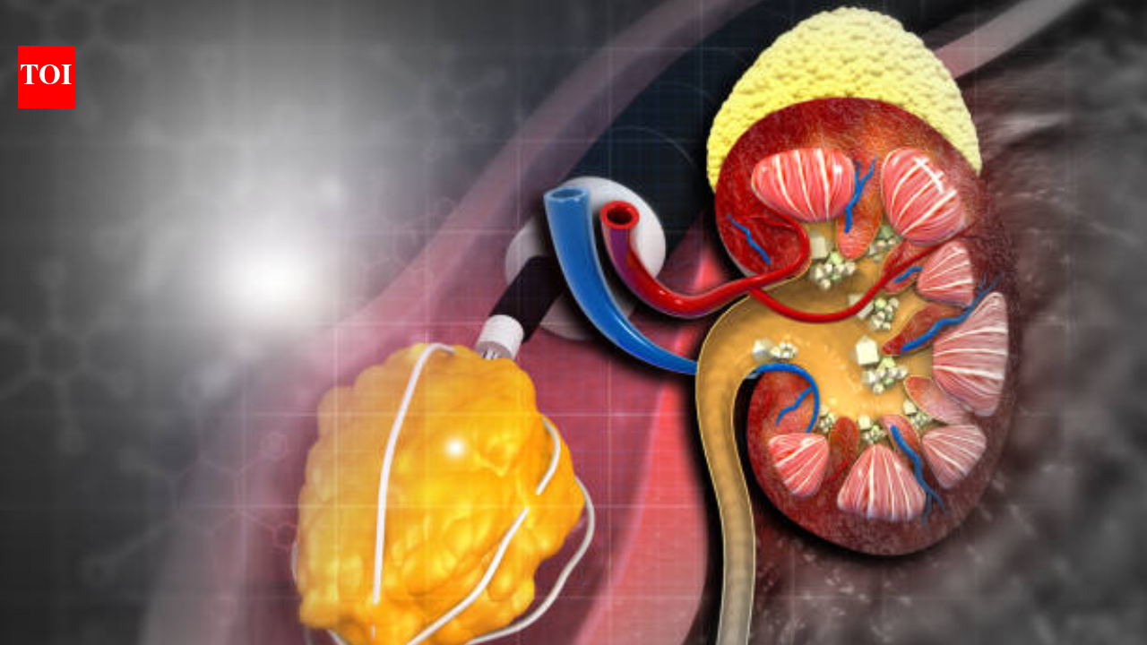 Scientists find promising new drug against rare, life-threatening kidney disease