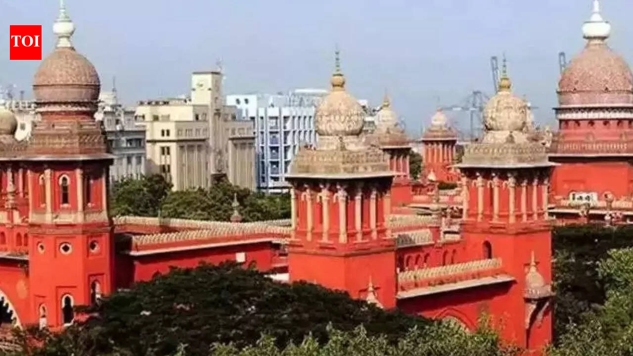 Madras high court bins PIL seeking to regulate use of reserved election symbols