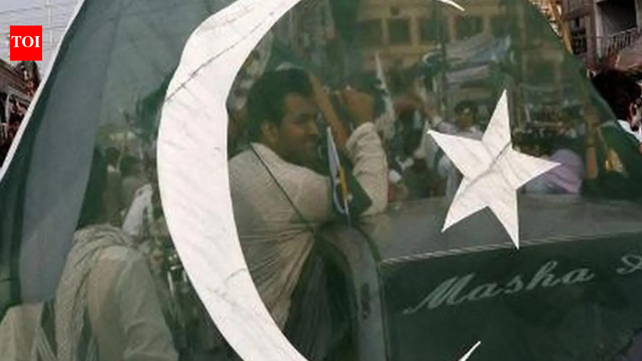 'Friendly ties don't land you up as part of Akhand Bharat': Pak Senator on India-UAE ties