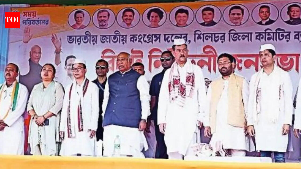 The Times of India - Business - News Image