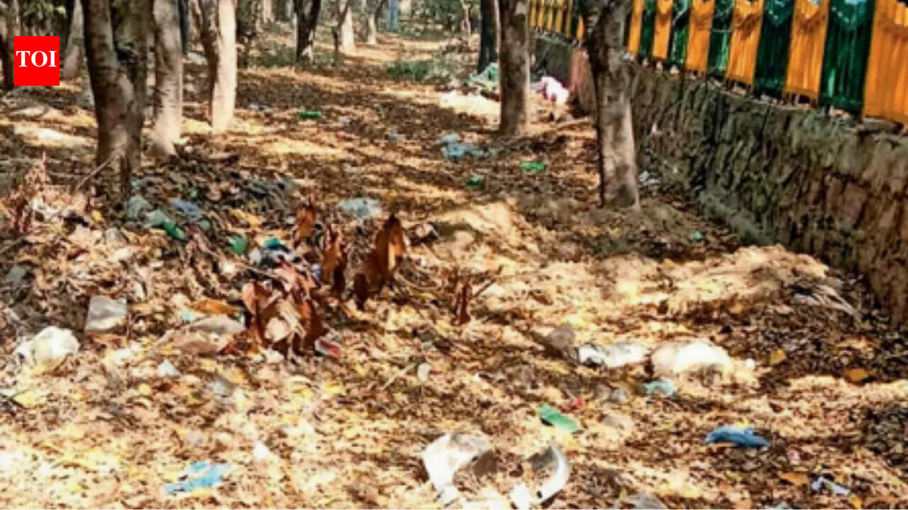 Set up as 'pollution buffer', green belts now gathering city's waste