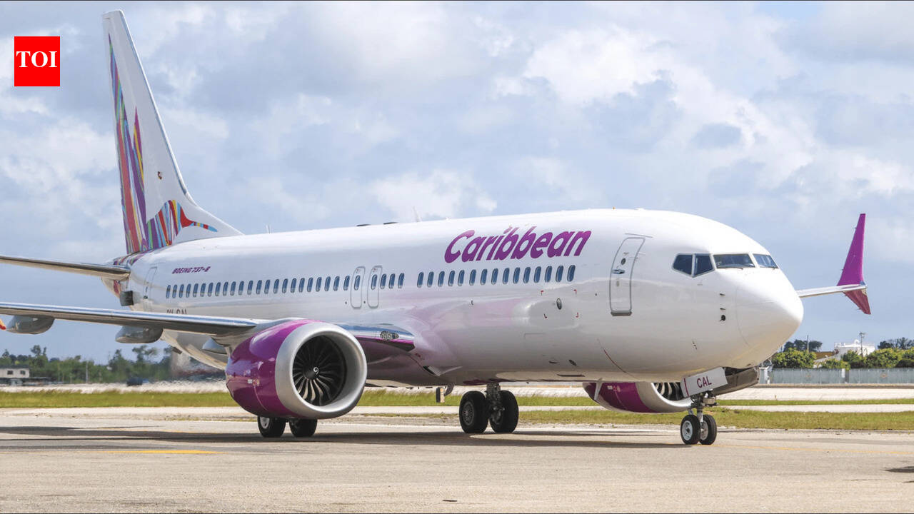 Woman gives birth on NYC-bound plane: Immigration attorney explains if baby will be considered US citizen