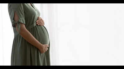 Telangana launches unified online portal for surrogacy, IVF and PCPNDT