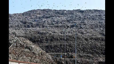 1700 MT of fresh waste being dumped at Ghazipur landfill site daily, reveals report