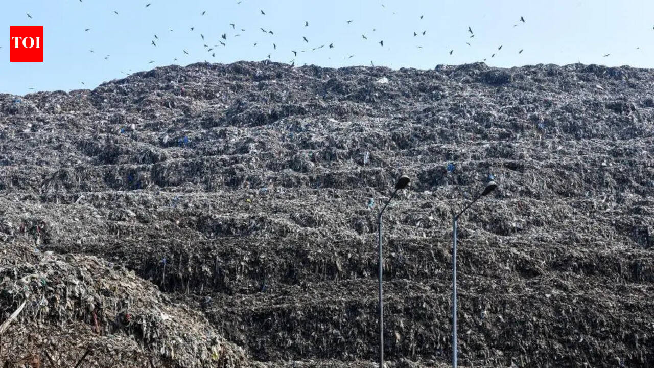 1700 MT of fresh waste being dumped at Ghazipur landfill site daily, reveals report