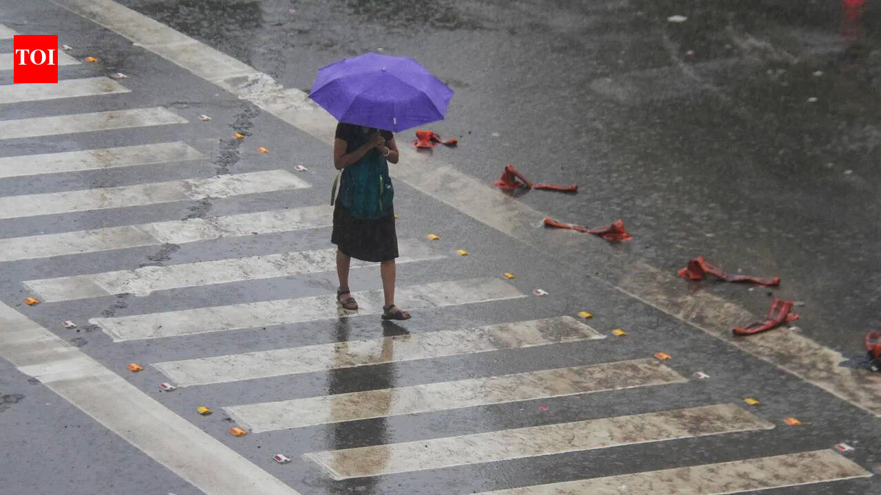 Delhi records coolest April day in three years