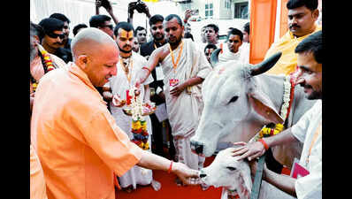 If Sanatan followers unite, no adversary can harm Hindus and India, says Yogi