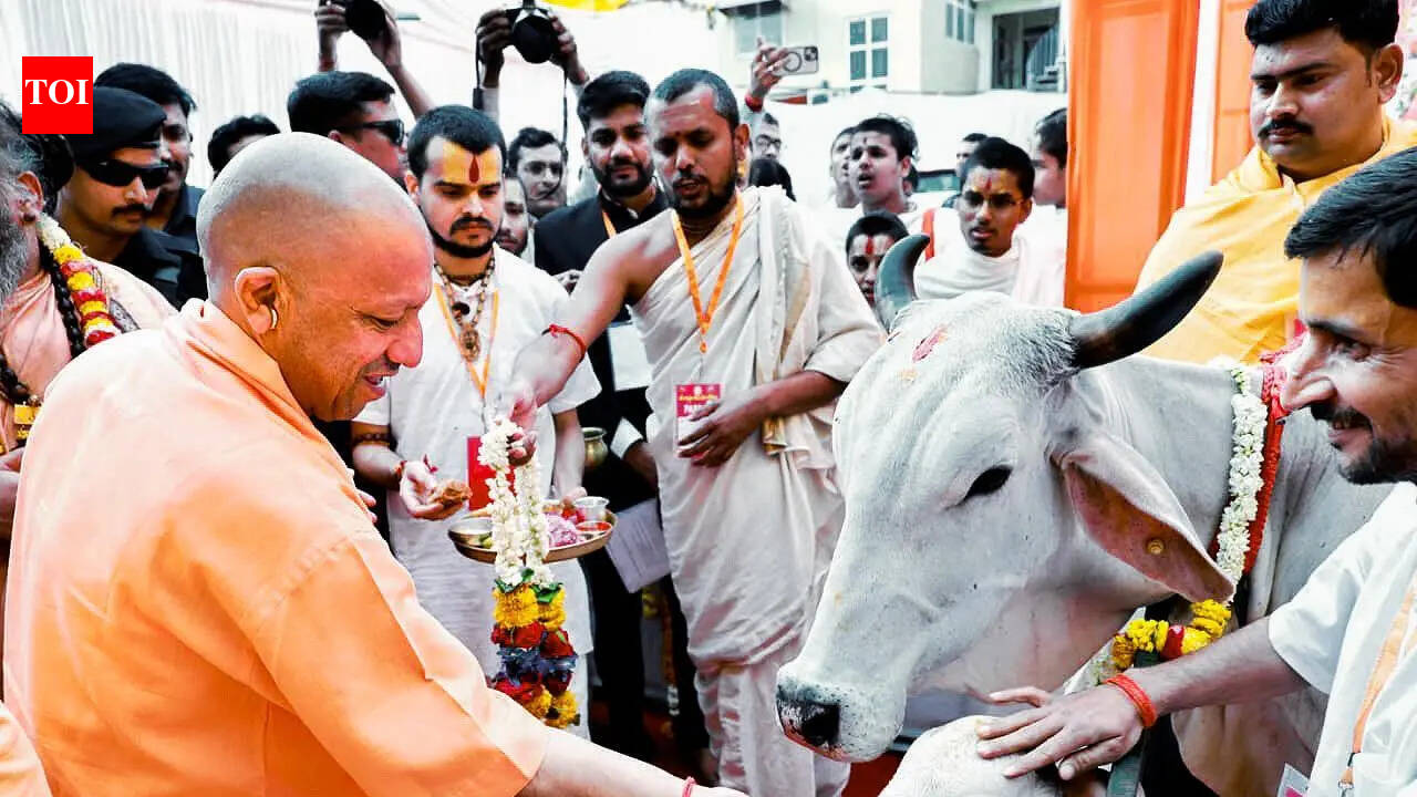 If Sanatan followers unite, no adversary can harm Hindus and India, says Yogi