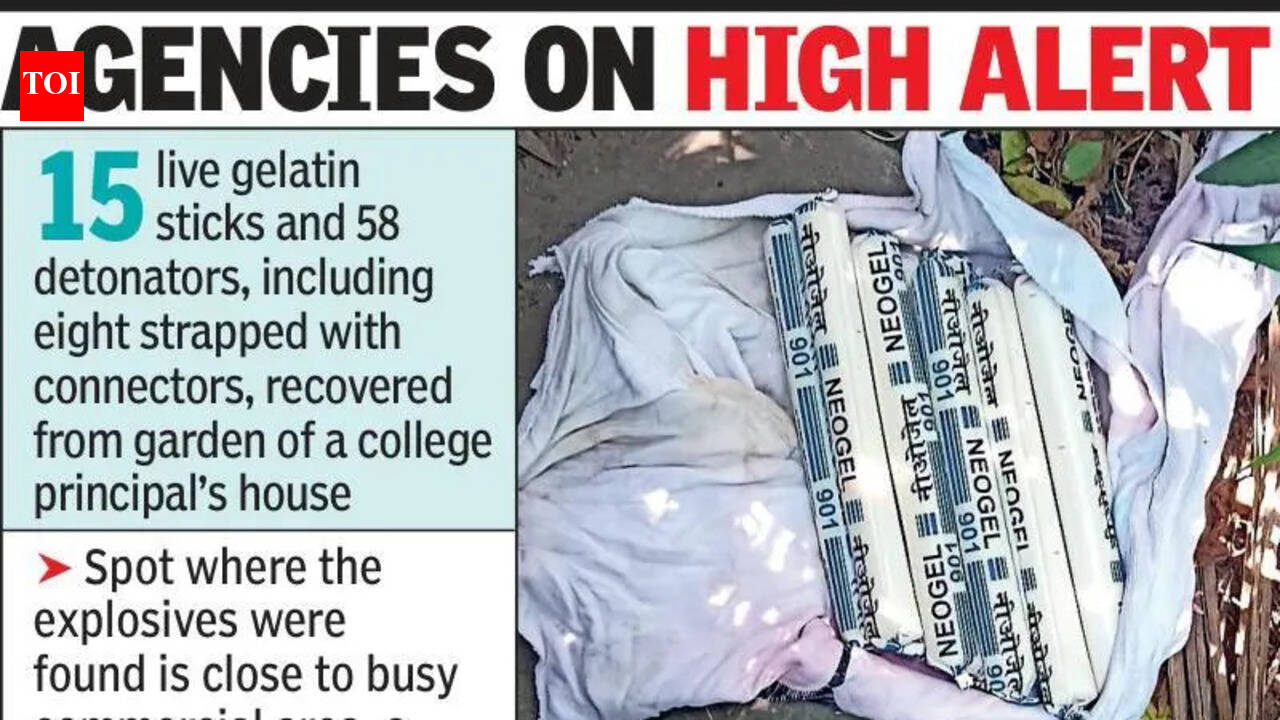 The Times of India - Politics - News Image