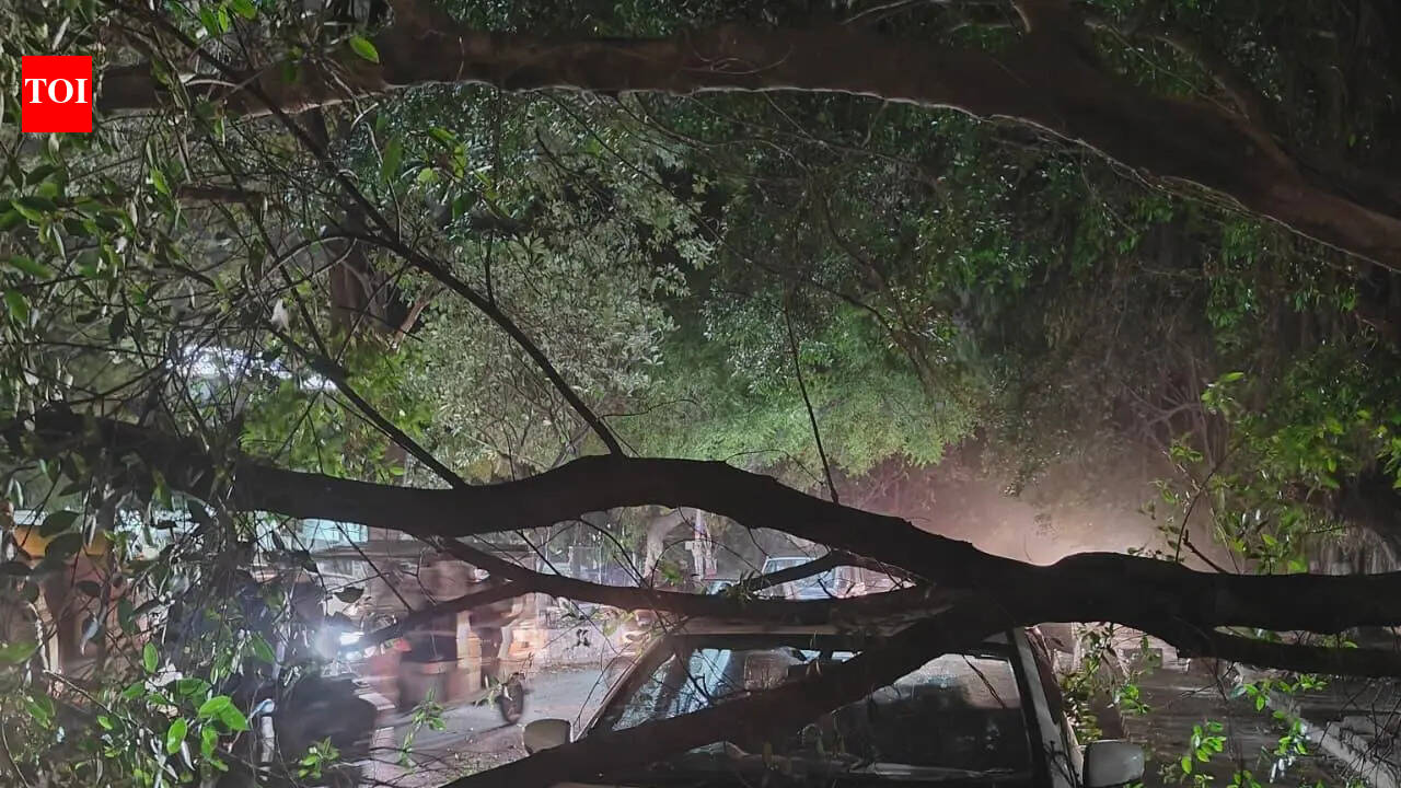 Breakdown, shutdown as rain, winds hit power infra in city