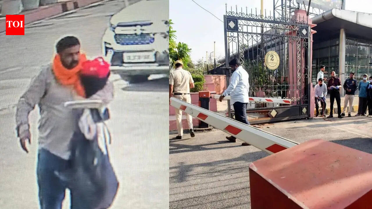 'I have Maharaja’s sword': Assembly breach accused Sarabjit Singh showing extremely violent behaviour, say Delhi cops