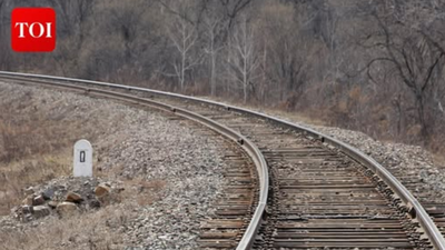 ‘Live separately or face fights’: Harassed over wife’s refusal to cook for family, man jumps in front of running train near Mumbai