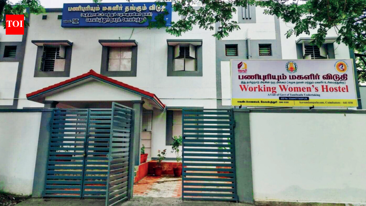 Tamil Nadu polls 2026: Women’s schemes, patriarchal themes